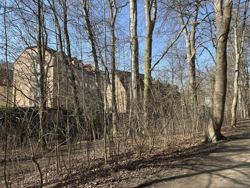 Jenaer Forst Rundweg