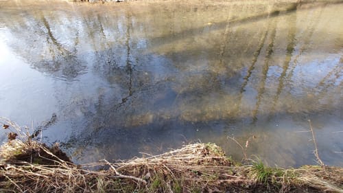 Von Möntenich zum Fluss Elz
