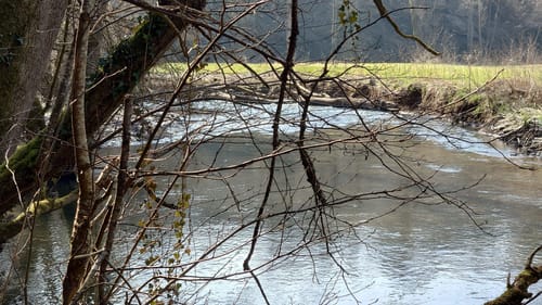 Von Möntenich zum Fluss Elz