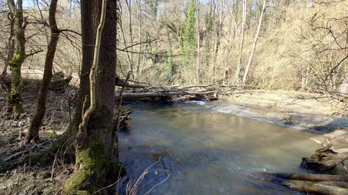 Von Möntenich zum Fluss Elz