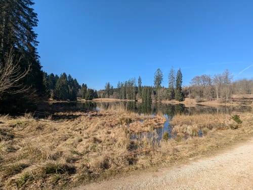 Durch den Wildpark Josefslust und um die Krauchenwieser Seen