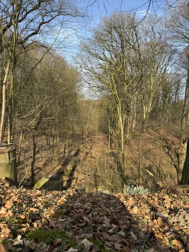 Spaziergang im Stadtforst Itzehoe 2