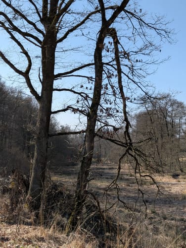Bleiwäsche B3