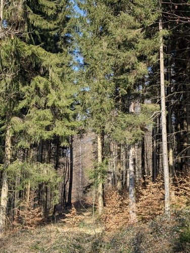 Bleiwäsche B3