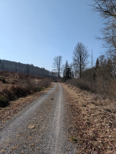 Bleiwäsche B3
