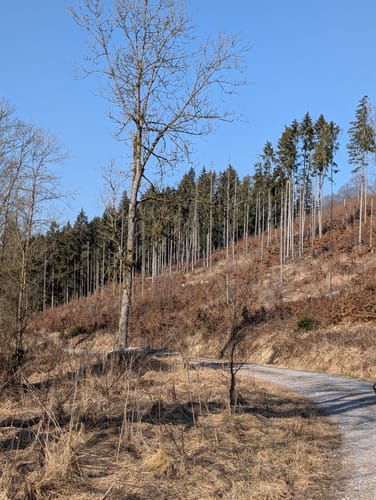 Bleiwäsche B3