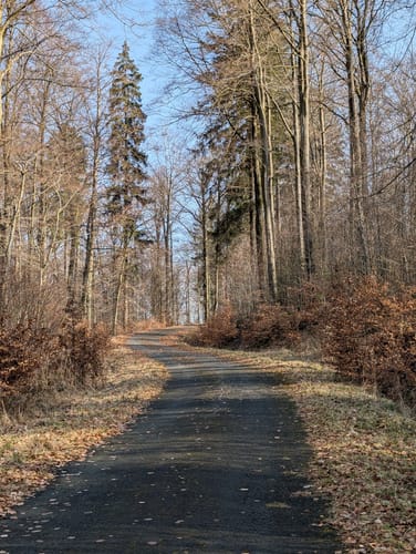 Bleiwäsche B3