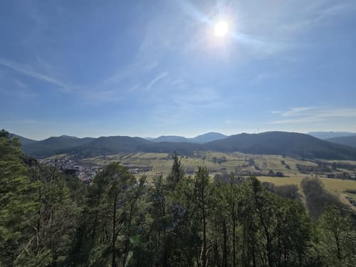 Wald-Erlebnisweg Schindhard