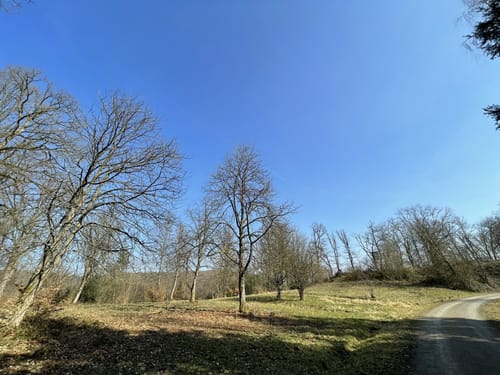 Wildwiesenweg - Erlebnisweg Sieg