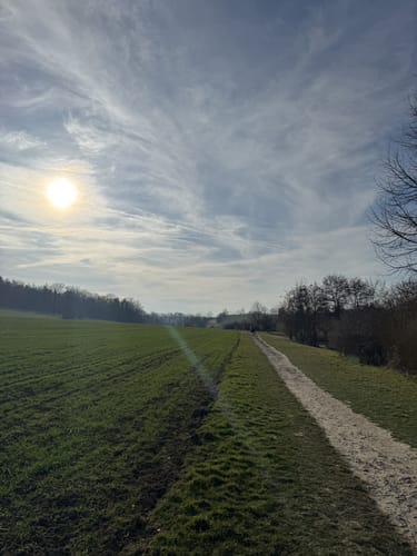 Im Leudelsbachtal