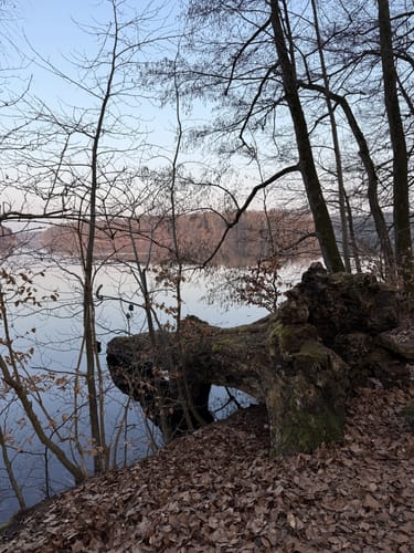 Um den Liepnitzsee