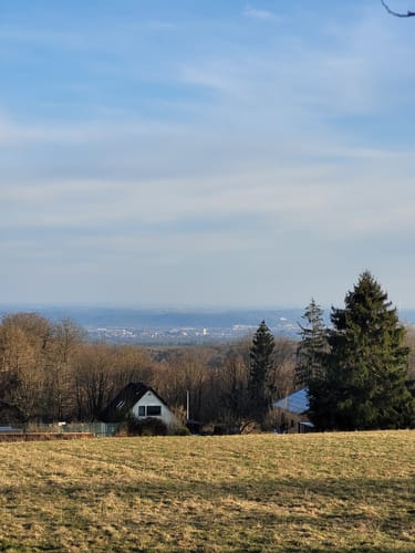 Vom Höcherbergturm um den Dörrberg