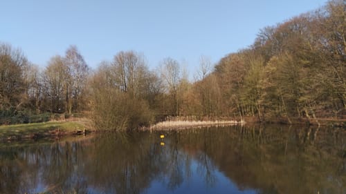 Um das Naturschutzgebiet Hoisdorfer Teiche