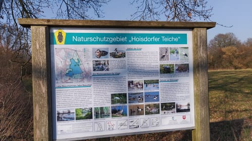 Um das Naturschutzgebiet Hoisdorfer Teiche
