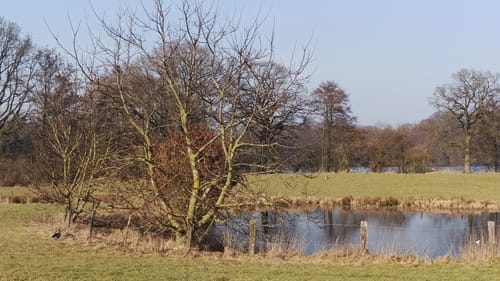 Um das Naturschutzgebiet Hoisdorfer Teiche