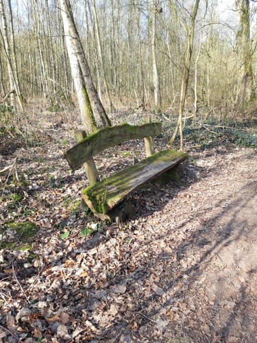 Rundweg durch die Gemeinde Tangstedt