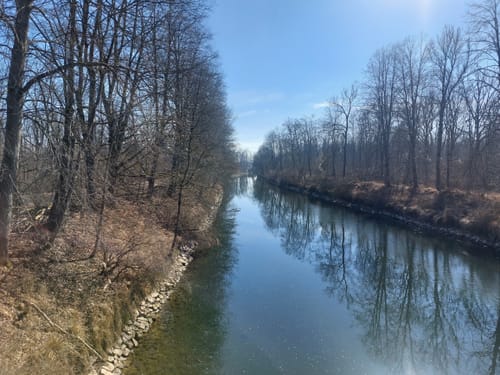 Kleine Auwaldwanderung