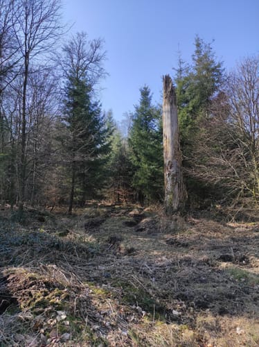Longinusturm Rundweg A3