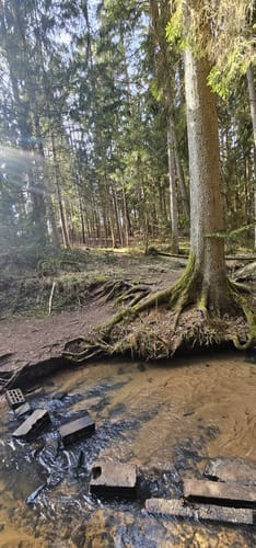 Nesselmühle - Naturlehrpfad - Nessenbach