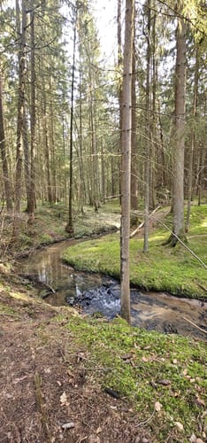 Nesselmühle - Naturlehrpfad - Nessenbach