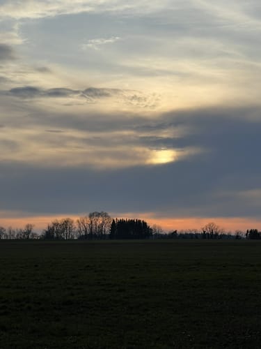 Fürstenwald ab Ochsenhausen