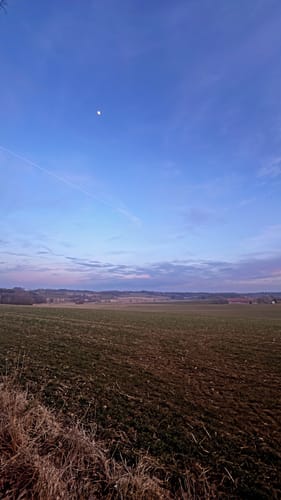 Fürstenwald ab Ochsenhausen
