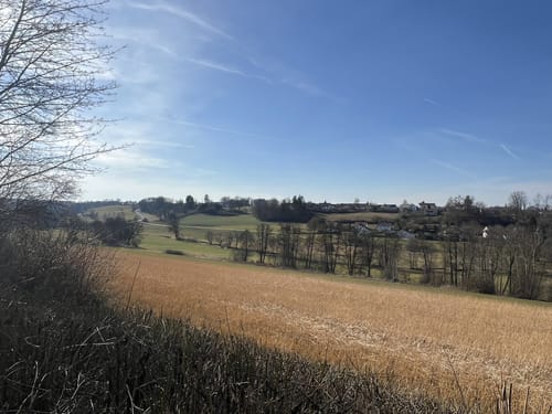 Fürstenwald ab Ochsenhausen
