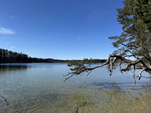 Großer Ostersee-Rundweg