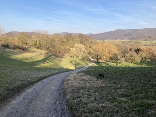 Bensheim: Hohlwege Lehrpfad