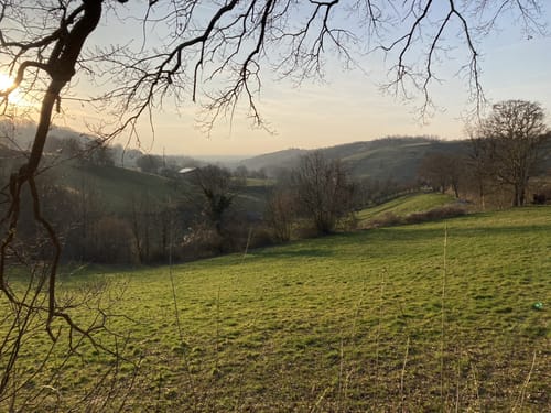 Bensheim: Hohlwege Lehrpfad