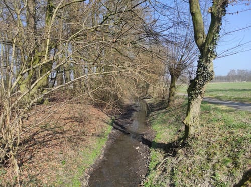 Welter Auen Rundweg