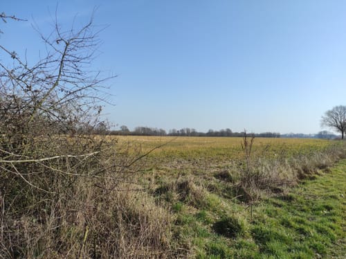 Welter Auen Rundweg