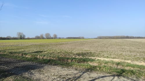 Welter Auen Rundweg