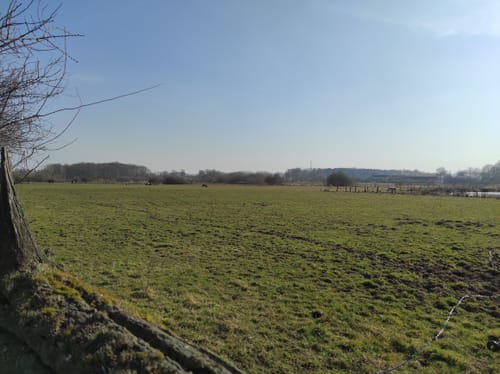 Welter Auen Rundweg