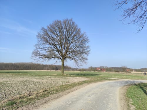 Welter Auen Rundweg