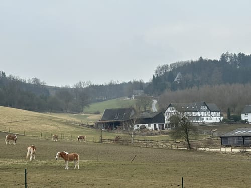 Golddorf-Route Wenholthausen
