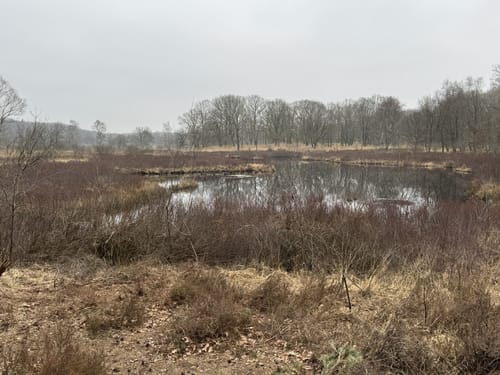 Nationalpark de Meinweg von Dalheim