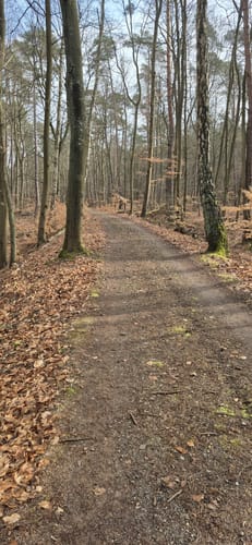 Rieth - Ludwigshof