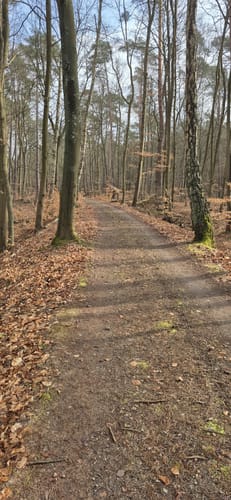 Rieth - Ludwigshof