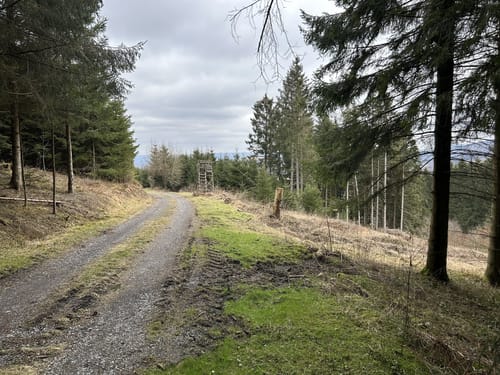 Altenhellefeld Rundweg AH3