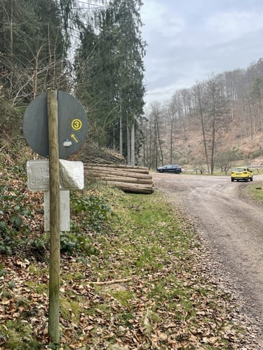 Rundwanderweg Großer Stein 3: Um den Wendenkopf