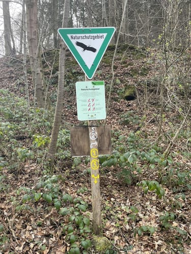 Rundwanderweg Großer Stein 3: Um den Wendenkopf