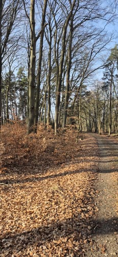 Rieth -  Ahlbeck