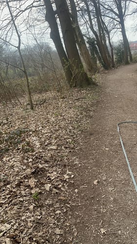 Solingen Merscheid: Auf der Höhe (A1)