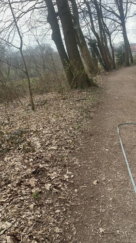 Solingen Merscheid: Auf der Höhe (A1)