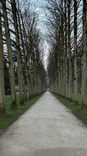 Celler Wasa-Lauf (10 km)