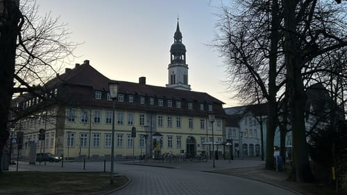 Celler Wasa-Lauf (10 km)