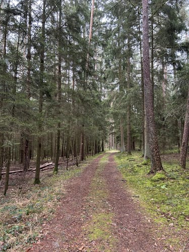 Wolfsschlucht