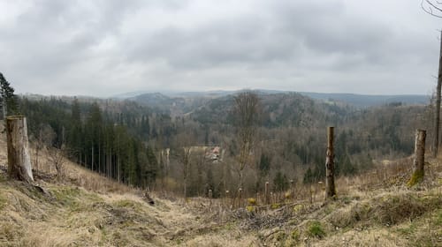 Bad Berneck - Rundweg Thiesenring
