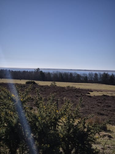 Naturpark Marbæk og Sjelborg Plantage